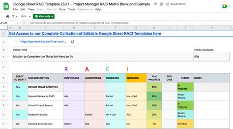 10 RACI Chart Templates in Excel, Google Sheets, and ClickUp
