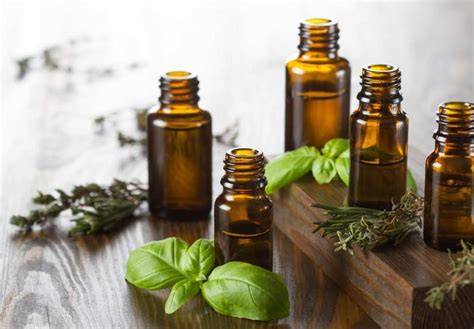 10 Rekomendasi Essential Oil Terbaik [Ada Produk Lokal] - raincitystudios.com