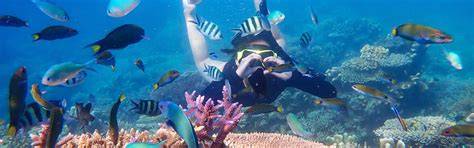 10 Rekomendasi Spot Snorkeling Terbaik di Indonesia - Traveloka - raincitystudios.com