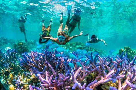 10 Rekomendasi Tempat Snorkeling di Bali Terbaik - raincitystudios.com