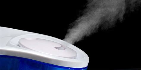 10 Reasons Why Everyone Should Own A Humidifier