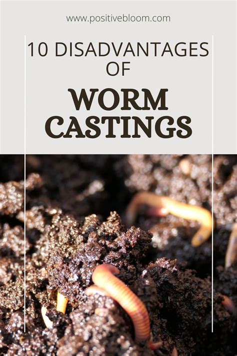 10 Reasons Why Worm Castings Rule