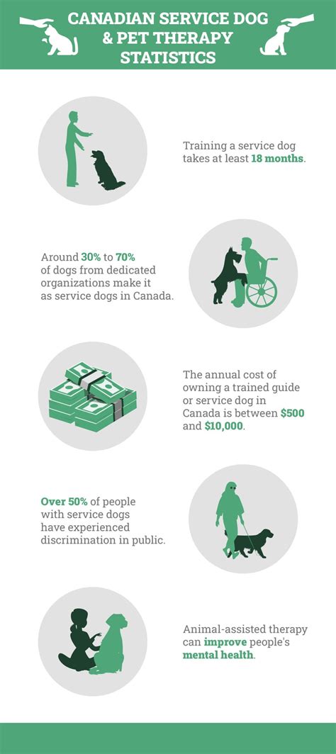 10 Remarkable Canadian Service Dog and Pet Therapy Statistics …