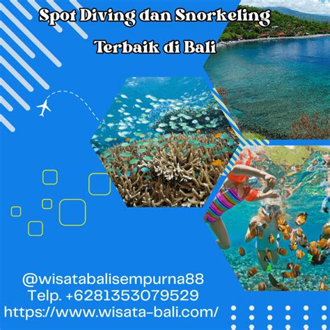 10 Spot Diving dan Snorkeling Terbaik di Bali - Nibble - raincitystudios.com