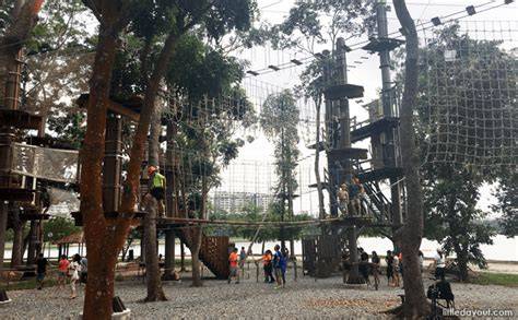 10 Things to Know Before Visiting Forest Adventure - raincitystudios.com