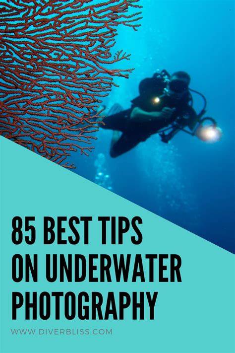 10 Tips for Better Underwater Photography - raincitystudios.com