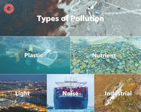 10 Types Of Ocean Pollution - Marine Insight - raincitystudios.com