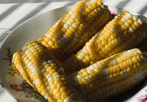 10 Typical Archipelago Foods That Are Identical To The Indonesian ... - wintechmobiles.com