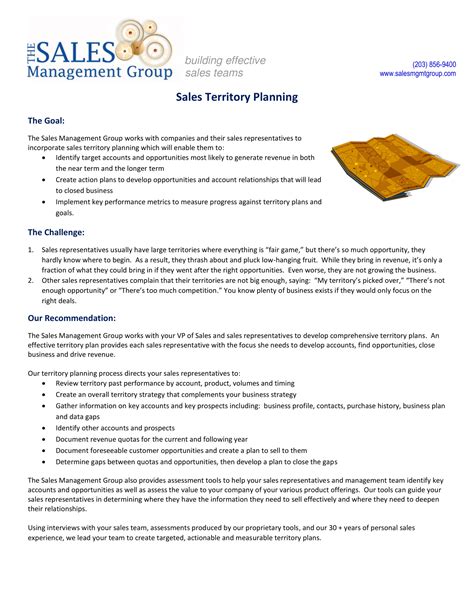 10 Territory Sales Plan Examples In Pdf Ms Word Pages Google Docs Examples