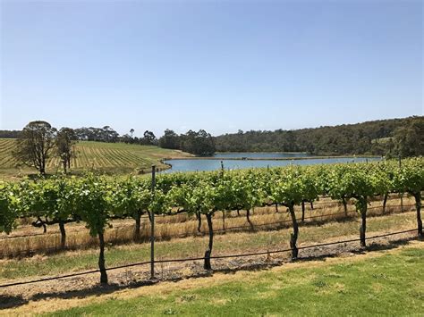 10 Top Margaret River Wineries In South West Australia - Rocky …