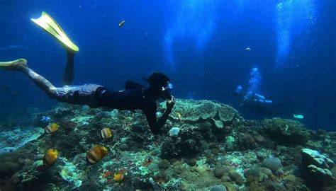 10 Wisata Scuba & Snorkelling Terbaik di Jakarta - Tripadvisor - raincitystudios.com
