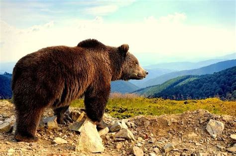 10 Zoos In Alaska Every Wildlife Lover Must Visit!