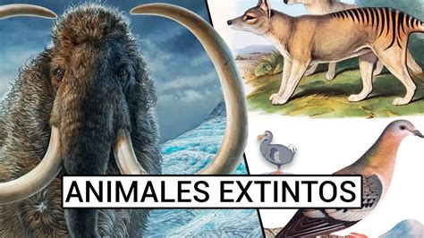 10 Animales Extintos