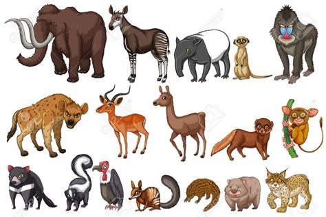 10 Animales Terrestres