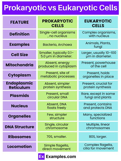10 Difference Between Prokaryotic And Eukaryotic Cell