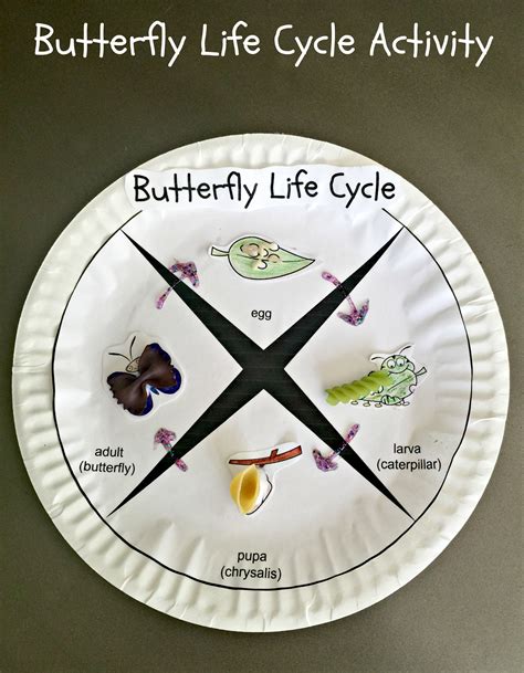 10 Engaging Butterfly Life Cycle Activities For Preschool Life Science Activities For Preschoolers - Life Science Activities For Preschoolers