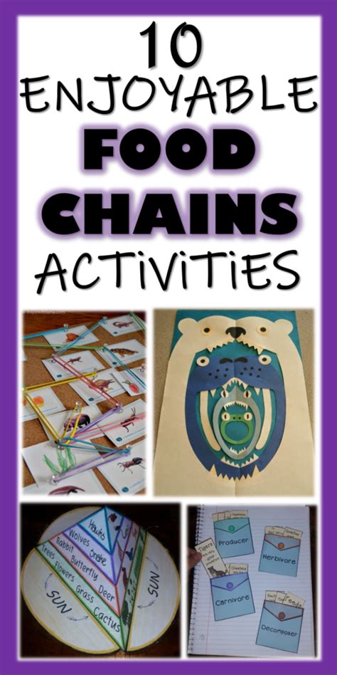 10 Enjoyable Food Chain Activities And Resources Food Chain Activities 4th Grade - Food Chain Activities 4th Grade