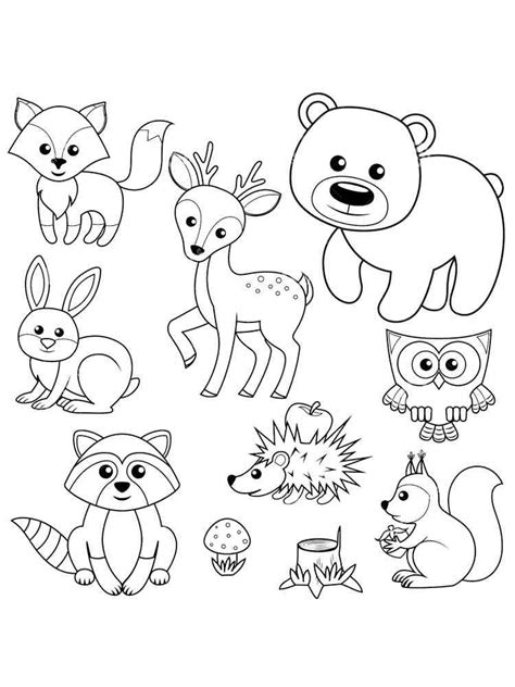 10 Forest Animal Coloring Pages The Graphics Fairy Forest Animal Coloring Sheets - Forest Animal Coloring Sheets