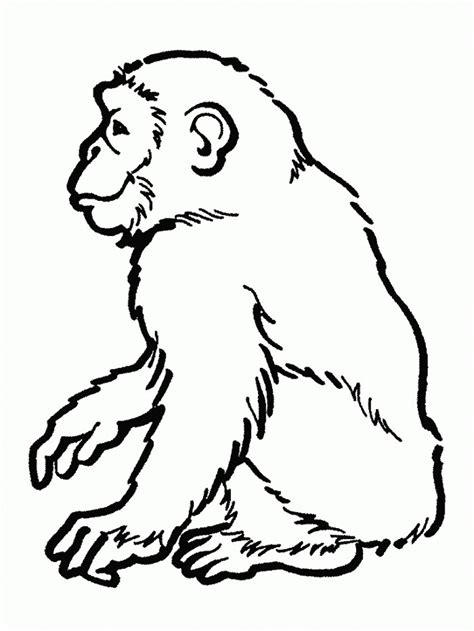10 Free Printable Lovely Chimpanzee Coloring Pages Online Jane Goodall Coloring Page - Jane Goodall Coloring Page