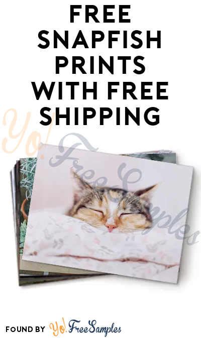 10 free prints + free shipping. When it comes to international shipping, DHL is a popular choice for many businesses. With their extensive network and reliable service, they offer a seamless experience for shipping goods across borders. 