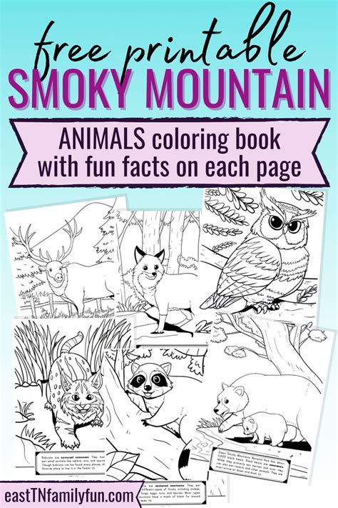 10 Free Smoky Mountain Coloring Pages East Tn Mountain Animal Coloring Pages - Mountain Animal Coloring Pages