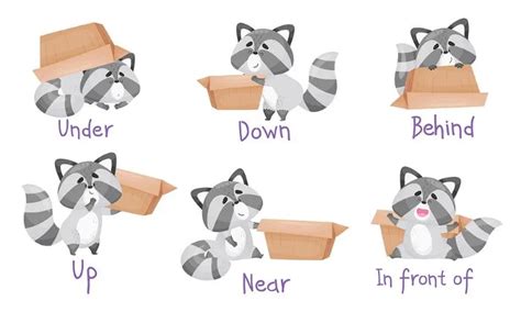 10 Fun And Interactive Preschool Positional Word Activities Positional Words Preschool Worksheets - Positional Words Preschool Worksheets
