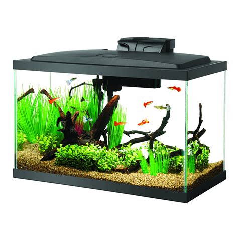 10 gallon fish tank aquarium. For 3-10 gallon tanks. Since 1951, Tetra has developed the world’s most comprehensive body of fish food knowledge, and fishkeeping enthusiasts have looked to the brand for products and solutions that add ease and beauty to their home. ... Aqueon QuietFlow 10 LED PRO Aquarium Fish Tank Power Filter For Up to 20 Gallon … 