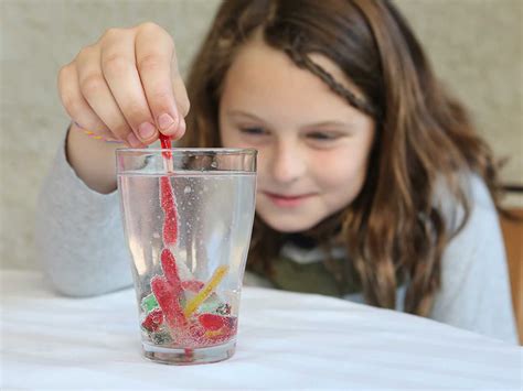 10 Kid Friendly Experiments On The Science Of Solid Liquid Gas Science Experiment - Solid Liquid Gas Science Experiment