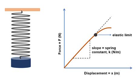 10 Kn Spring Constant Real