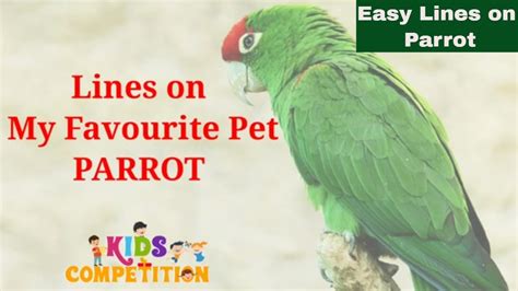 10 Lines On My Pet Parrot Paragraph In 10 Lines On My Pet Parrot - 10 Lines On My Pet Parrot