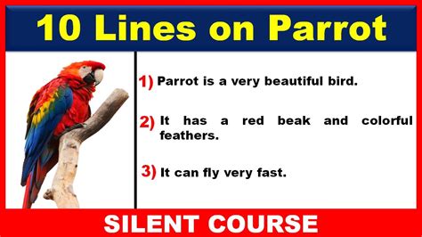 10 Lines On Parrot In English For Children 10 Lines On My Pet Parrot - 10 Lines On My Pet Parrot