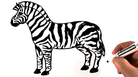 10 Lines On Zebra For Children And Students 5 Sentences About Zebra - 5 Sentences About Zebra