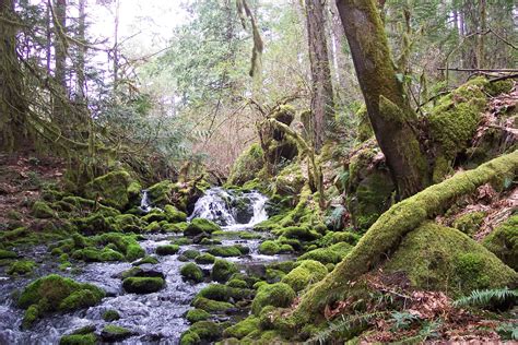 10 of the Best Hikes near Victoria, British Columbia