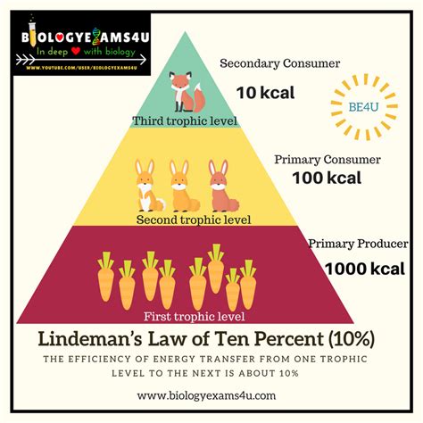 10 Percent Rule