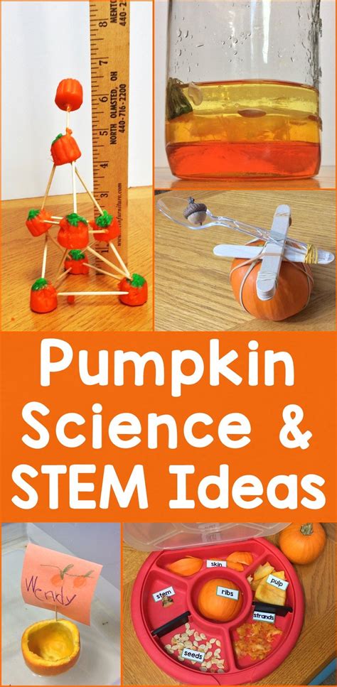 10 Pumpkin Science Activities Education To The Core Pumpkin Science Activities - Pumpkin Science Activities