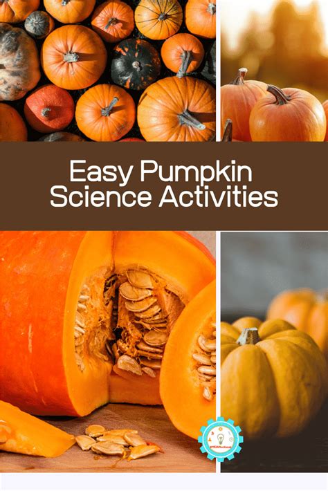 10 Pumpkin Science Experiments For Elementary Kids Steamsational Pumpkin Activities First Grade - Pumpkin Activities First Grade