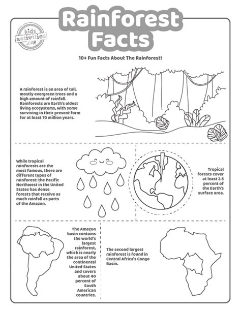 10 Rainforest Facts Printable Worksheets Kids Activities Rainforest Worksheets For Kindergarten - Rainforest Worksheets For Kindergarten