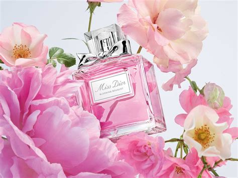 10 Rekomendasi Parfum Dior Terbaik Terbaru Tahun 2023 Dior Homme Parfum - Dior Homme Parfum