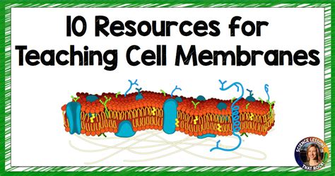 10 Resources For Teaching Cell Membranes Science Lessons 11 Grade Cell Membrane Worksheet - 11 Grade Cell Membrane Worksheet