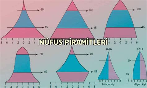 10 sınıf nüfus piramitleri konu anlatımı