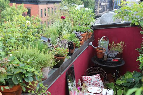 10 Secrets For Growing An Urban Balcony Garden Gardening Tips For Balcony - Gardening Tips For Balcony