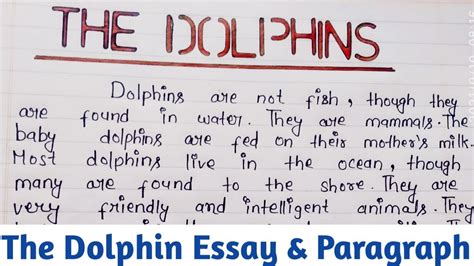 10 Sentences About Dolphin   Dolphin Essay How To Write A Dolphin Essay - 10 Sentences About Dolphin
