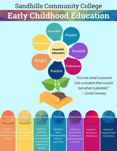 10 Standards Of Early Childhood Education In Preschool Preschool Math Standards - Preschool Math Standards