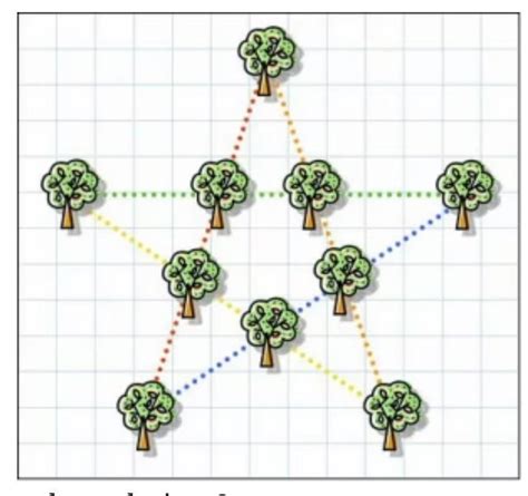 10 Trees In 5 Rows Of 4