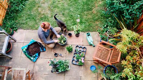 10 ways to resurrect your garden this spring, from sowing lawns to …