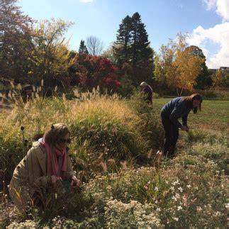 10-Step Guide for Native Seed Collection - Blooming … - raincitystudios.com