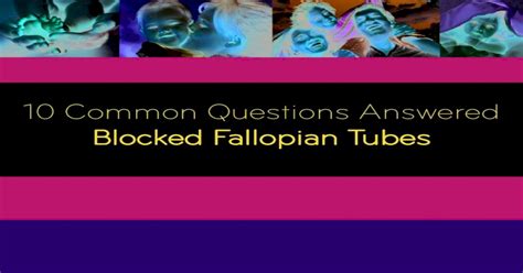Full Download 10 Common Questions Answered Blocked Fallopian Tubes Pdf 