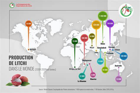 10. LYCHEE PRODUCTION IN THE PHILIPPINES - raincitystudios.com