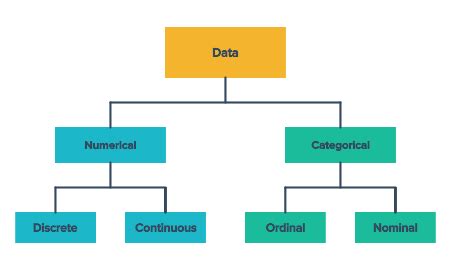 10.02 Categorical and numerical data - Mathspace - wintechmobiles.com