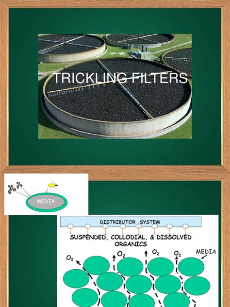 10.1 Trickling Filter (Biofilm) PDF